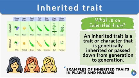 are kinks genetic|Disturbing trait you may inherit from your parents but are probably。